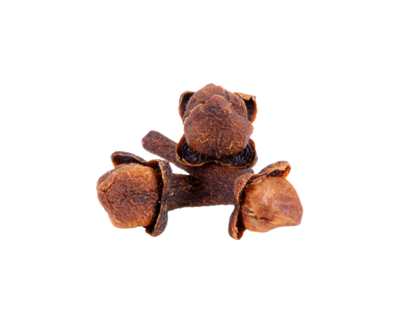 kuru karanfiller şeffaf png