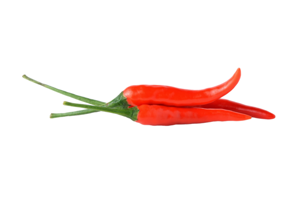 kırmızı biber şeffaf png