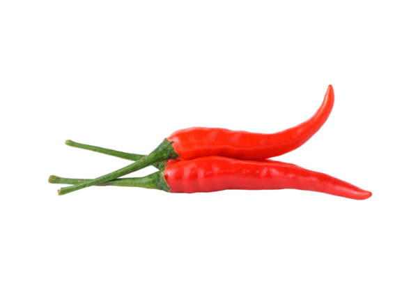 kırmızı biber şeffaf png