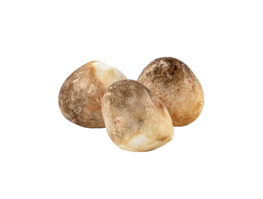 straw mushroom transparent png