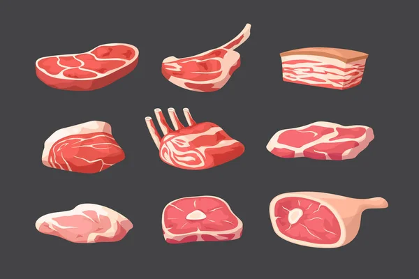 ダークな背景に隔離されたシンプルな明るい漫画デザインの新鮮な様々な肉のイラスト — ストックベクタ