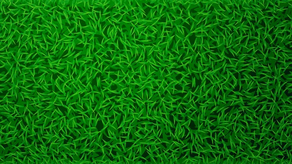 Иллюстрация Свежего Зеленого Цвета Травы Газона Фон Реалистичном Дизайне Вид — стоковый вектор