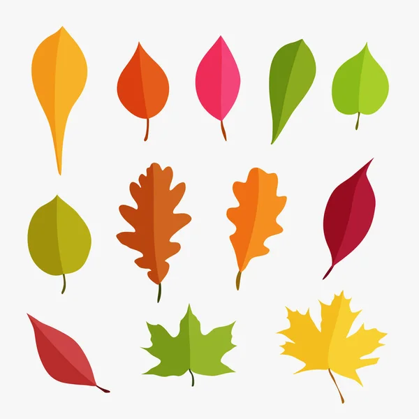 Иллюстрация Различных Осенних Листьев Деревьев Наборе Простой Яркий Красочный Дизайн — стоковый вектор