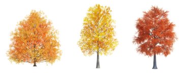 3d görüntüleme sonbahar ağacı izole kesilmiş arkaplan