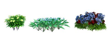 3d hazırlama çalılığı ve çiçek izole edilmiş kesme arkaplanı