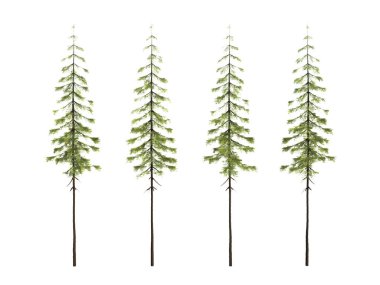 3d biçimlendirme ağacı izole edilmiş kesme arkaplanı