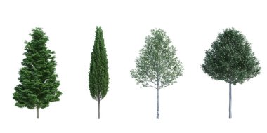 3d biçimlendirme ağacı izole edilmiş kesme arkaplanı