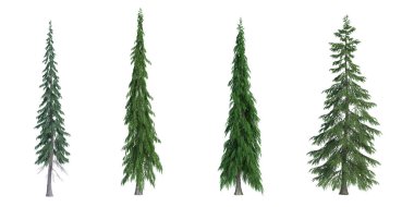 3d biçimlendirme ağacı izole edilmiş kesme arkaplanı