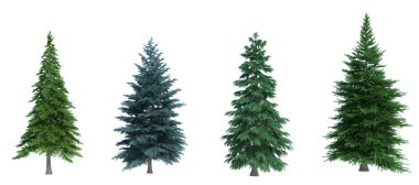 3d biçimlendirme ağacı izole edilmiş kesme arkaplanı