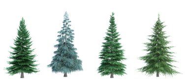 3d biçimlendirme ağacı izole edilmiş kesme arkaplanı