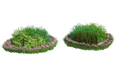 3d Render Brush Tree Isolated  on white