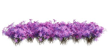 3d Render Brush Tree Isolated  on white