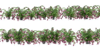 3d Render Brush Tree Isolated  on white