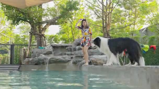 プールで可愛い犬と遊んでいる幸せなアジアの女性 遊び心のある黒と白の境界線のコリージャンプ水におもちゃをキャッチします 夏の活動 ペットの運動トレーニングライフスタイル スローモーション — ストック動画