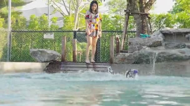 Glückliche Asiatische Frau Spielt Mit Ihrem Süßen Hund Schwimmbad Verspielte — Stockvideo