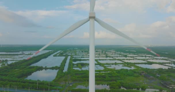青空とエネルギー生産のための風力タービンの分野を空中ビュー 風力発電所の上空をドローンが飛行し 持続可能な開発のためのクリーンな再生可能エネルギーを生み出す 緑の生態系世界 — ストック動画