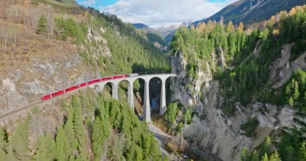 Buzul Bernina Ekspres Sviçre Alpleri Yaz Mevsimi Manzaralı Landwasser Viyaduct — Stok video