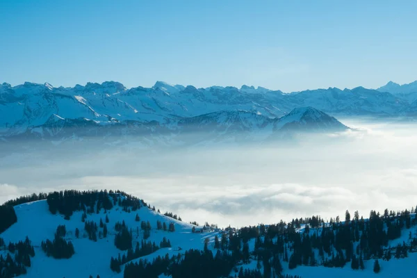 Rigi Dağı (Rigi Kulm) ve Lucerne Gölü 'nün zirvesinin altında panoramik manzara, İsviçre. İnanılmaz kar ve sis İsviçre alp dağlarının zirvelerini ve kış manzarasını kapladı.