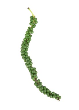 Bitki, beyaz, nigrum, yemek, baharat, lezzet, baharat, baharat, tohum, doğal, malzeme, taze, arka plan, yakın plan, tropikal, Asya, biber, aşçı, yeşil, kavalcı, pişirme, sıcak, gurme, kokulu, tahıl, biber, yuvarlak, lezzet, aromatik, ilaç