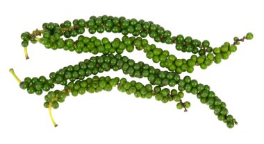 Taze gaydacı nigrum beyaz bir arka planda izole