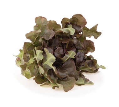 beyaz zemin üzerine kırmızı marul.