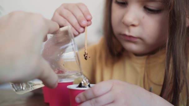 小さな未就学児自宅で種を植える 成長している家庭やバルコニーガーデン 高品質4K映像 — ストック動画