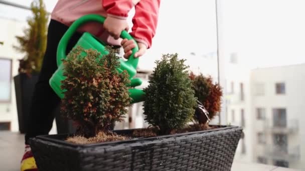 Весной Девочка Дошкольного Возраста Поливает Растения Балконе Балкон Городской Сад — стоковое видео