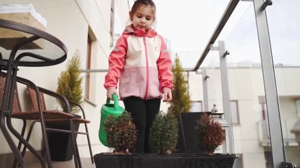 Νηπιαγωγείο Κορίτσι Πότισμα Φυτά Στο Μπαλκόνι Την Άνοιξη Μπαλκόνι Αστικού — Αρχείο Βίντεο