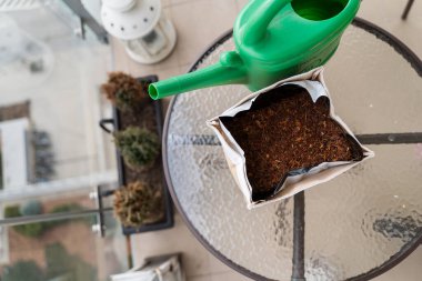 Balkonda tahıllı ve sulama tencereli tohum kabı manzarası. Yüksek kalite fotoğraf