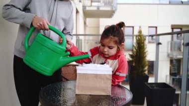 5 yaşında bir çocuk, balkon bahçesinde bitki tohumu tohumu ekiyor. Sürdürülebilir eğitim kavramı. Yüksek kalite 4k görüntü