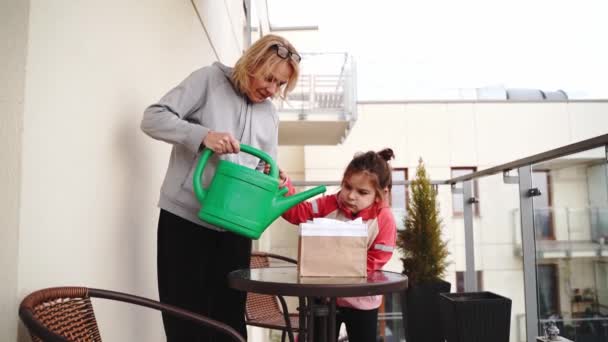 Jähriges Kind Mit Oma Die Saatpflanzen Auf Ihrem Städtischen Balkongarten — Stockvideo