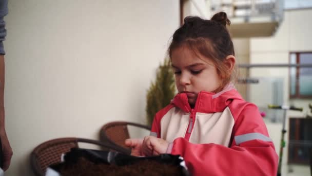 Předškolního Věku Dítě Dívka Výsevu Rostlin Balkóně Zahradničení Měst Udržitelné — Stock video