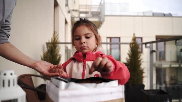 春天的时候 一个小女孩带着奶奶种的植物在阳台上 城市园艺概念 高质量的4K镜头 — 图库视频影像