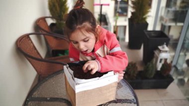 Anaokulu çocuğu balkonda bitki tohumu ekiyor. Bahçe işleri, sürdürülebilir eğitim. Yüksek kalite 4k görüntü