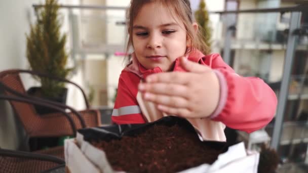 Mädchen Vorschulalter Säen Pflanzen Auf Dem Balkon Aus Urban Gardening — Stockvideo