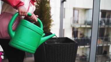 Anaokulu kızı baharda balkonda çiçek suluyor. Balkon şehir bahçesi. Yüksek kalite 4k görüntü