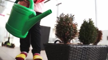Anaokulu kızı baharda balkonda çiçek suluyor. Balkon şehir bahçesi. Yüksek kalite 4k görüntü