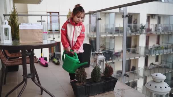 Óvodás Lány Öntözés Növények Erkélyen Tavasszal Erkély Városi Kert Kiváló — Stock videók