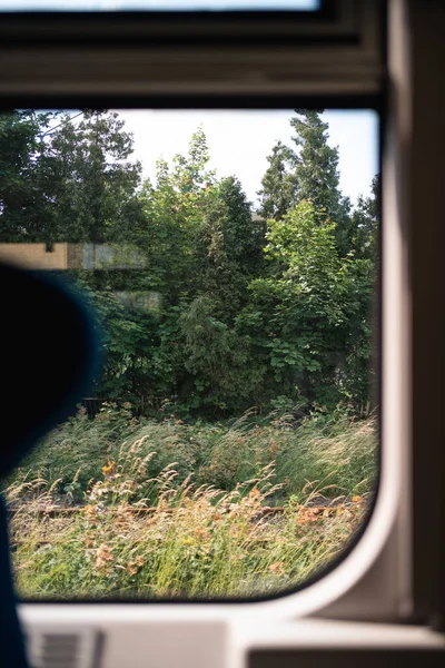 stock image View through the window of the train to the nature in summer, forest and grass. High speed travel by train. High quality photo