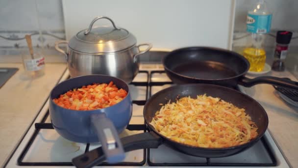 在煤气炉上煮熟的腌制蔬菜 高质量的4K镜头 — 图库视频影像
