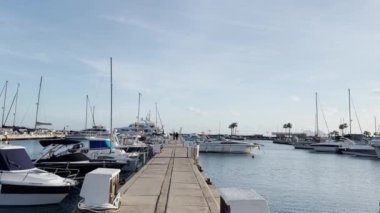  Altın güneş ışığı, çeşitli yelkenli tekne ve yatların palmiye ağaçlarına ve açık gökyüzüne demirlediği sakin bir marinaya vuruyor. Yüksek kalite 4k görüntü