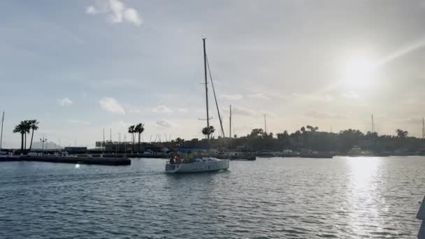 Elegantes Barcos Atracados Puerto Deportivo Bajo Cielo Azul Expansivo Que — Vídeos de Stock