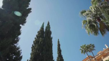 Akdeniz güneşinin altında, zarif palmiyeler ve yüksek çam ağaçları berrak bir gökyüzü ve Avrupa mimarisi zeminine karşı sakin, yeşil bir geri çekilme sunuyor. Yüksek kalite 4k görüntü