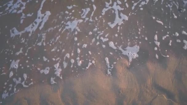 Närbild Delikat Havskräm Sanden Fånga Essensen Haven Röra Vid Stranden — Stockvideo