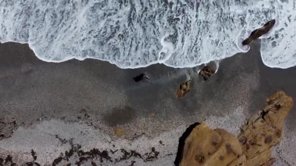 Solitary Figure Captured Contrasting Sweeping Textures Sandy Beach Foamy Waves — Stock videók