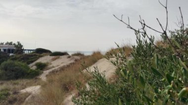Marbella, İspanya - Kıyıdaki Akdeniz kumul sistemleri. Costa del Sol plajı. Sakin, yavaş bir yaşam alanı. Yüksek kalite 4k görüntü