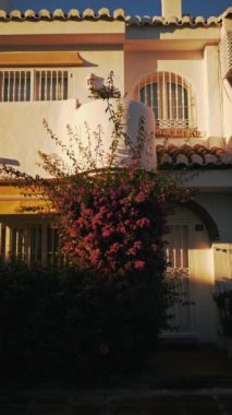 Mijas, İspanya 'da renkli bougainvillea ve geleneksel İspanyol mimarisi ile sıcak akşam ışığında yıkanan antika bir cadde. Yüksek kaliteli FullHD görüntüler