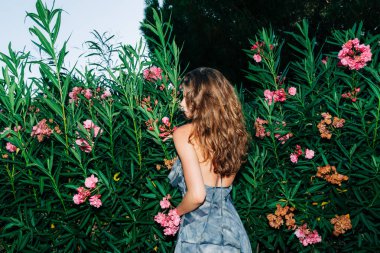 Çiçek bahçesinde, mavi elbiseli, pembe zakkumlu, beyaz bir kadın. Yüksek kalite fotoğraf