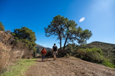 Baba ve çocuk çam ağaçlarıyla güneşli dağ manzarasında yürüyüş yapıyorlar..