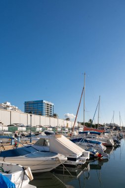 Güneşli bir günde demirli yelkenli tekneli sakin bir marina..